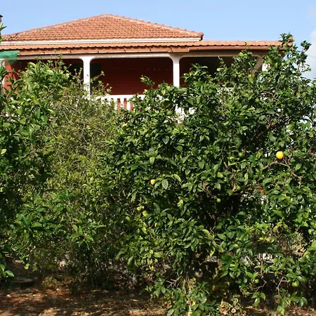 Stella Keramies Keramiai